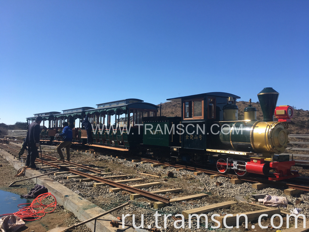 sightseeing train on mountain